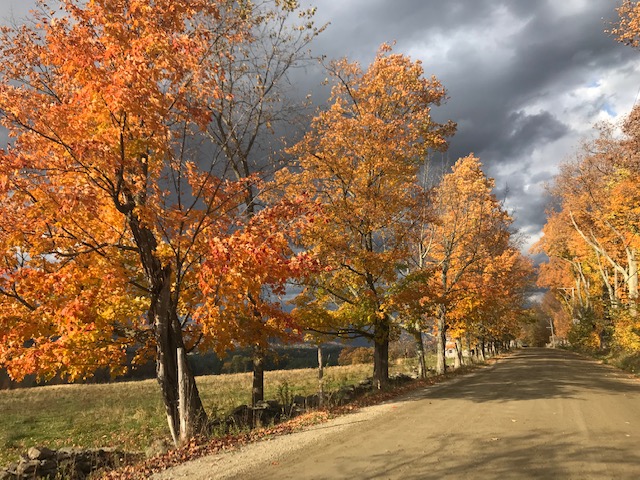 Reader submitted foliage photo along the Waitsfield Common Road from Sarah Hughes.
